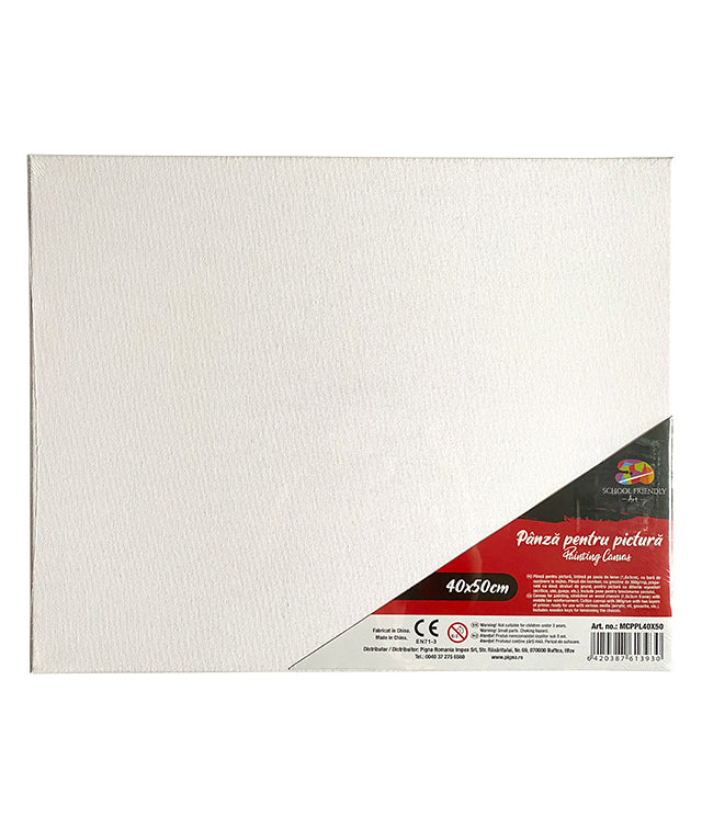 PANZA PENTRU PICTURA PE SASIU 40 x 50 CM SF ART PIGNA PANZA PENTRU PICTURA PE SASIU 40 x 50 CM SF ART PIGNA